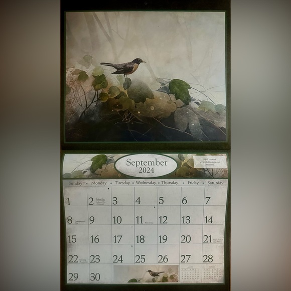 CALENDAR 2024 ART OF NATURE: Pelee Island Observatory Art Of Birds. - Picture 10 of 16